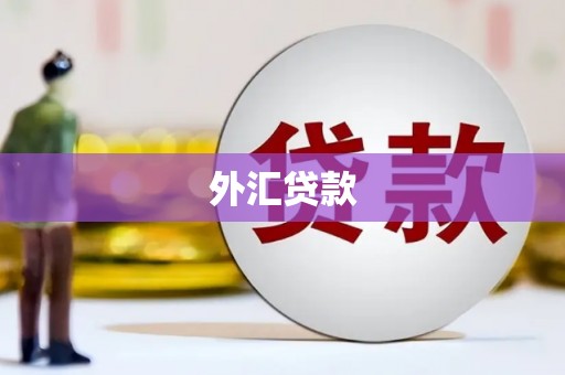 循化外汇贷款