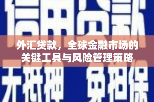 循化外汇贷款，全球金融市场的关键工具与风险管理策略