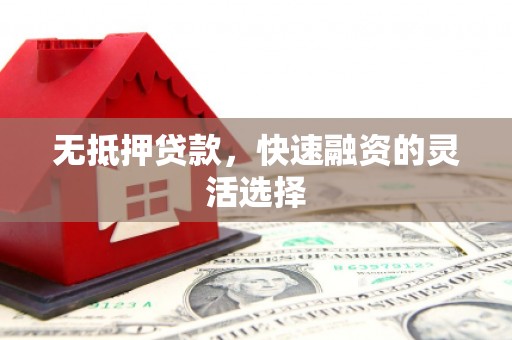 循化无抵押贷款，快速融资的灵活选择