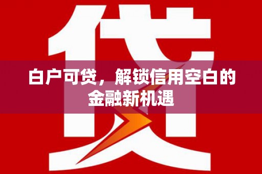 循化白户可贷，解锁信用空白的金融新机遇
