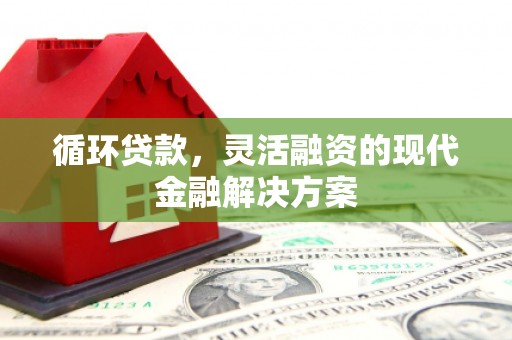 循化循环贷款，灵活融资的现代金融解决方案
