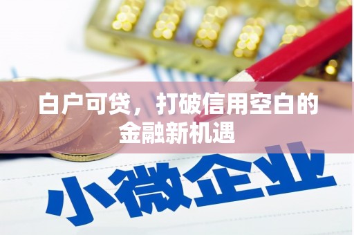循化白户可贷，打破信用空白的金融新机遇