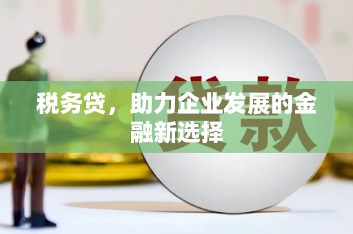 循化税务贷，助力企业发展的金融新选择