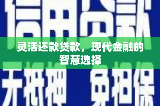 循化灵活还款贷款，现代金融的智慧选择