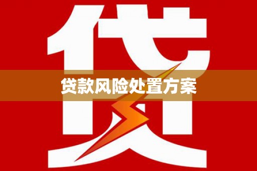 循化贷款风险处置方案
