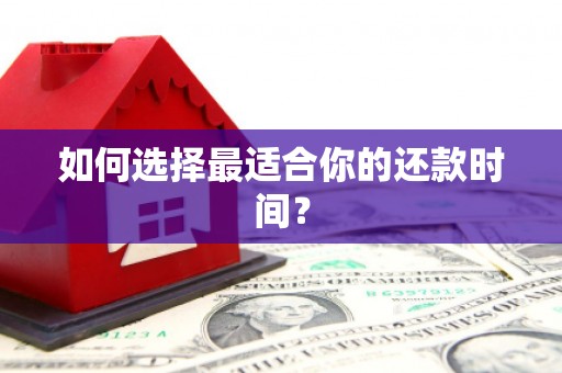 循化如何选择最适合你的还款时间？