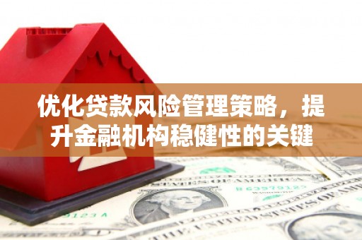循化优化贷款风险管理策略，提升金融机构稳健性的关键