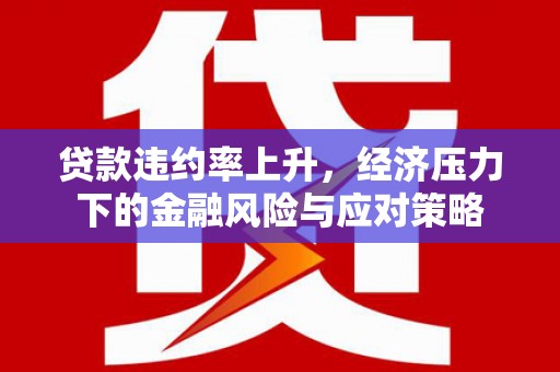 循化贷款违约率上升，经济压力下的金融风险与应对策略