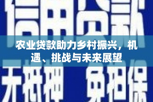 循化农业贷款助力乡村振兴，机遇、挑战与未来展望