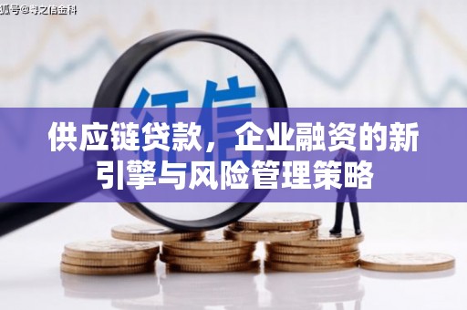 循化供应链贷款，企业融资的新引擎与风险管理策略