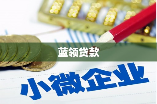 循化蓝领贷款