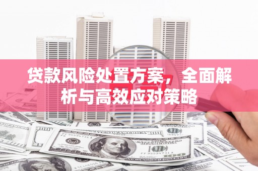 循化贷款风险处置方案，全面解析与高效应对策略