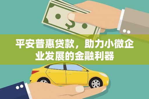 循化平安普惠贷款，助力小微企业发展的金融利器