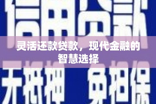 循化灵活还款贷款，现代金融的智慧选择