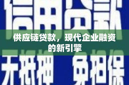 循化供应链贷款，现代企业融资的新引擎