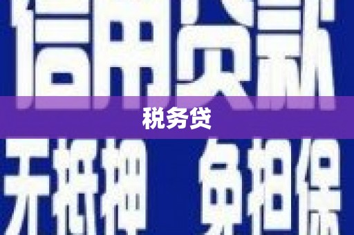 循化税务贷