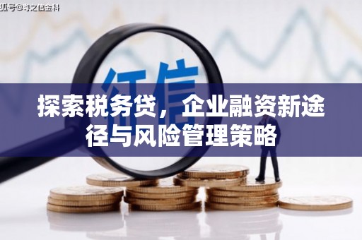 循化探索税务贷，企业融资新途径与风险管理策略