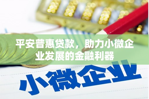 循化平安普惠贷款，助力小微企业发展的金融利器