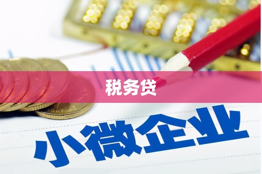 循化税务贷