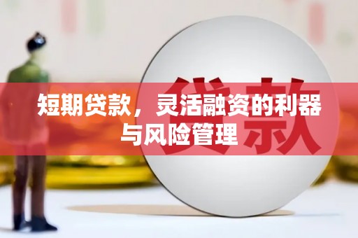 循化短期贷款，灵活融资的利器与风险管理