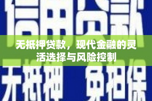 循化无抵押贷款，现代金融的灵活选择与风险控制