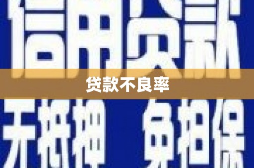 循化贷款不良率