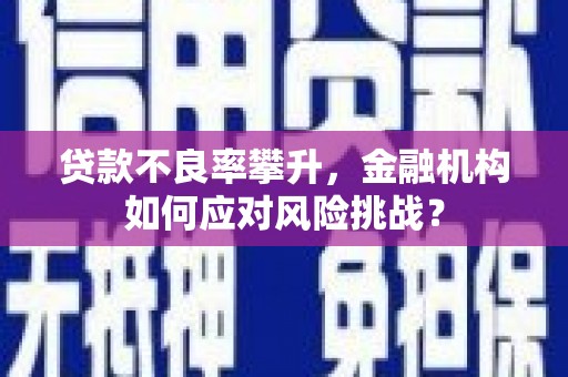 循化贷款不良率攀升，金融机构如何应对风险挑战？