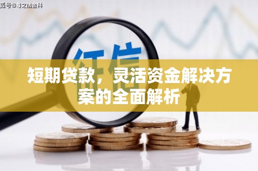 循化短期贷款，灵活资金解决方案的全面解析