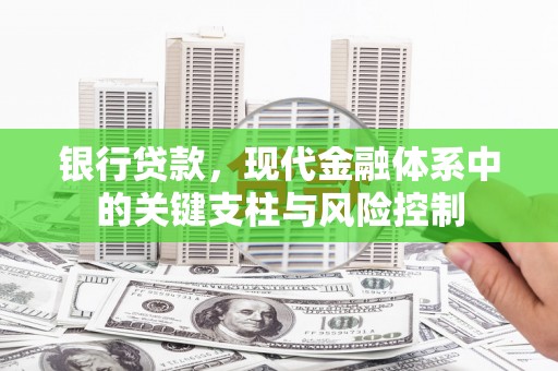 循化银行贷款，现代金融体系中的关键支柱与风险控制