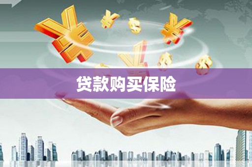 循化贷款购买保险