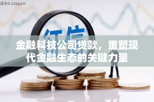 循化金融科技公司贷款，重塑现代金融生态的关键力量