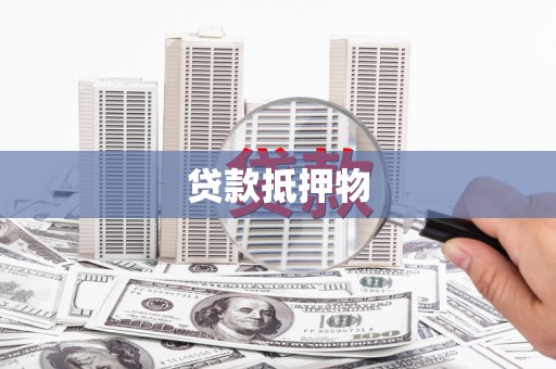 循化贷款抵押物