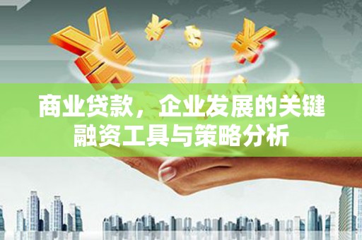 循化商业贷款，企业发展的关键融资工具与策略分析