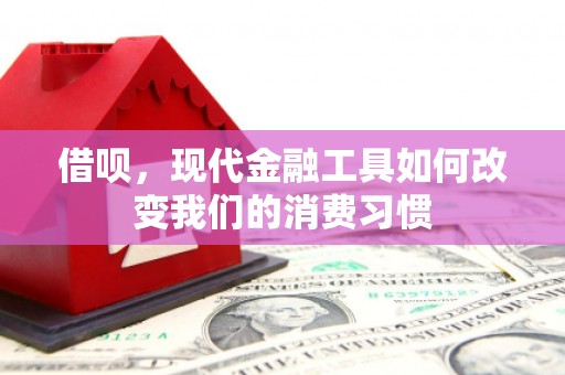 循化借呗，现代金融工具如何改变我们的消费习惯