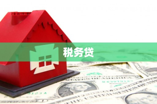 循化税务贷