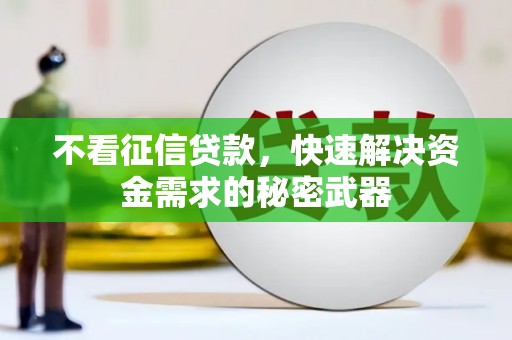 循化不看征信贷款，快速解决资金需求的秘密武器