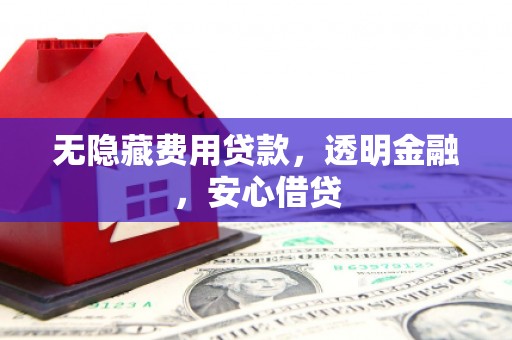 循化无隐藏费用贷款，透明金融，安心借贷