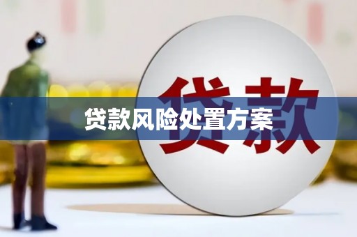 循化贷款风险处置方案