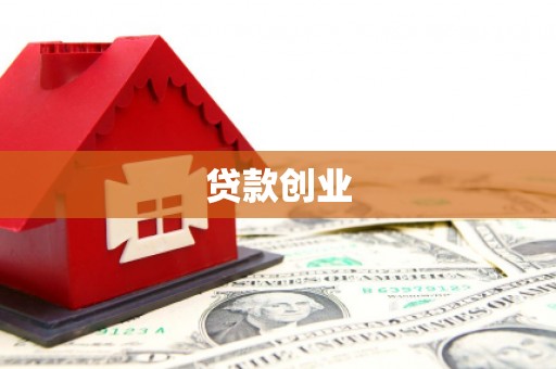 循化贷款创业