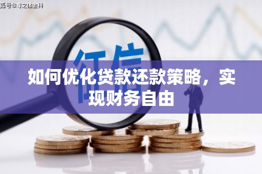 循化如何优化贷款还款策略，实现财务自由