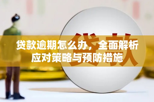 循化贷款逾期怎么办，全面解析应对策略与预防措施