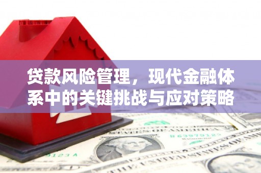 循化贷款风险管理，现代金融体系中的关键挑战与应对策略