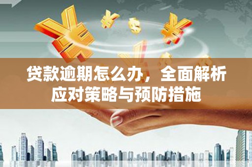 循化贷款逾期怎么办，全面解析应对策略与预防措施