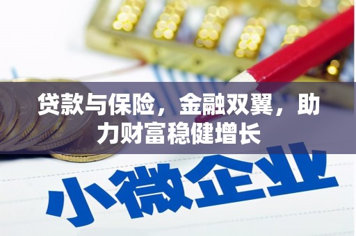 循化贷款与保险，金融双翼，助力财富稳健增长