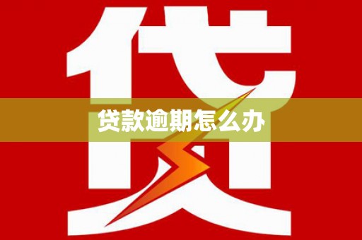 循化贷款逾期怎么办