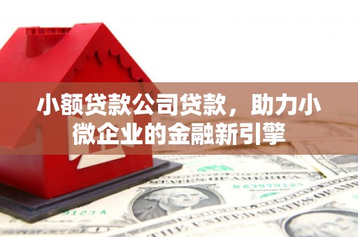 循化小额贷款公司贷款，助力小微企业的金融新引擎