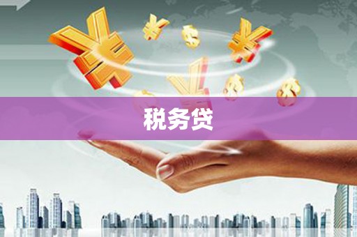 循化税务贷