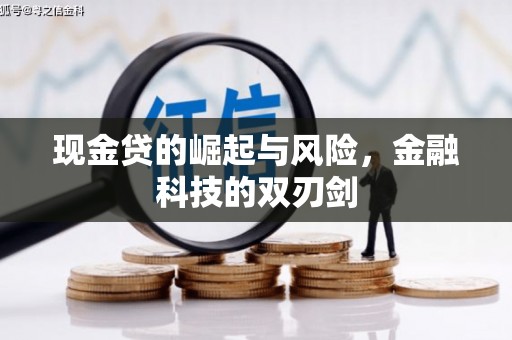 循化现金贷的崛起与风险，金融科技的双刃剑