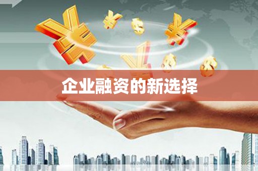 循化企业融资的新选择