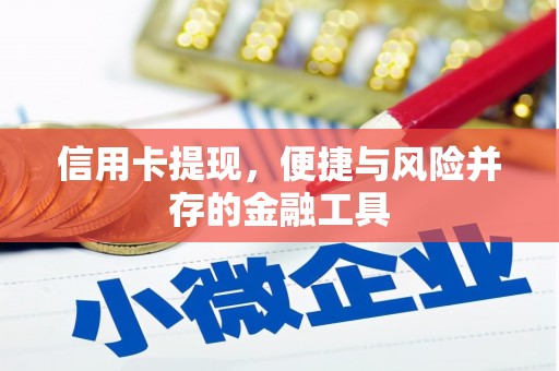 循化信用卡提现，便捷与风险并存的金融工具